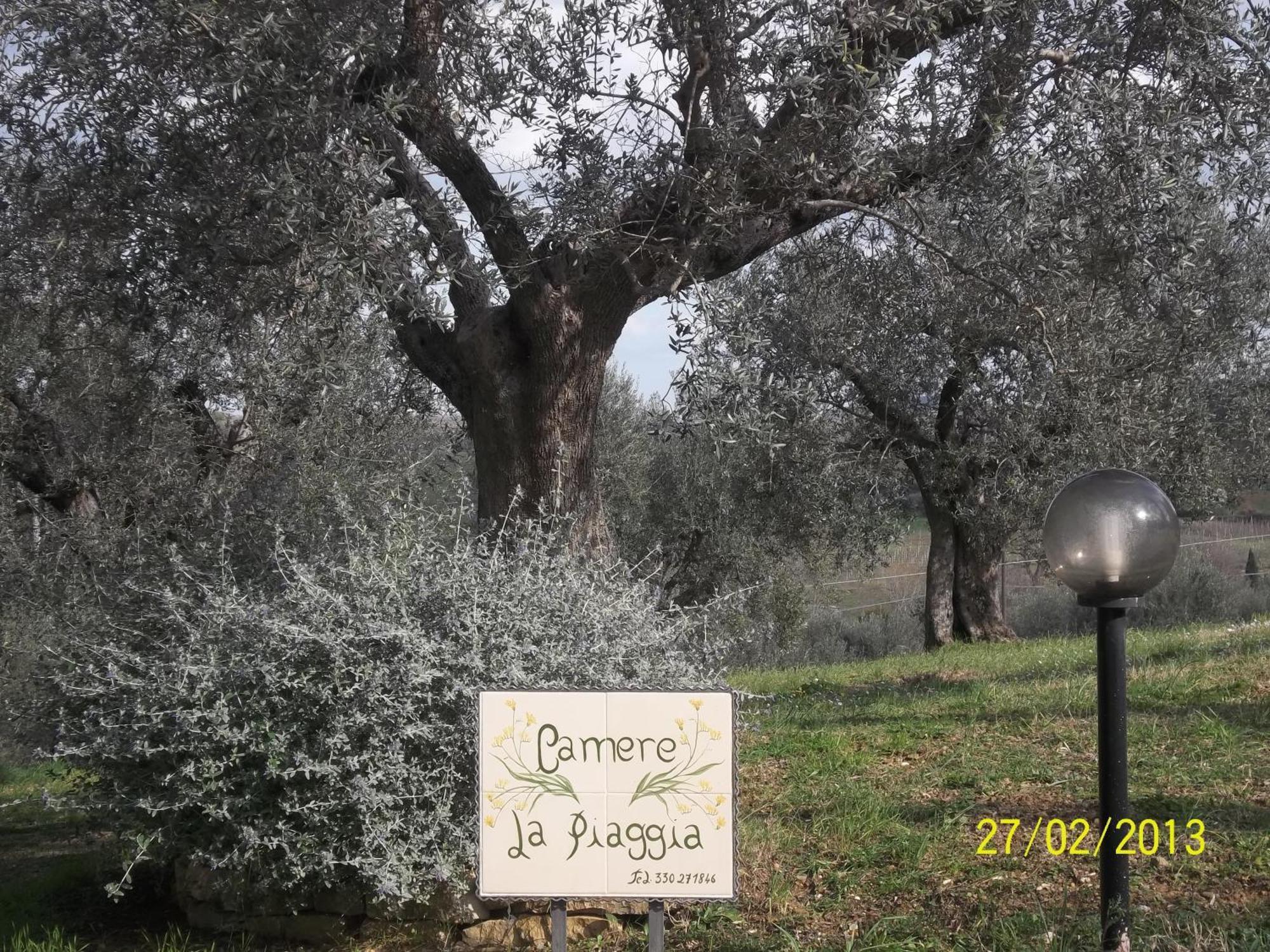 B&B La Piaggia Montemerano Bagian luar foto